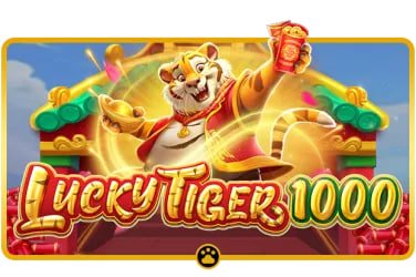 5hbet com